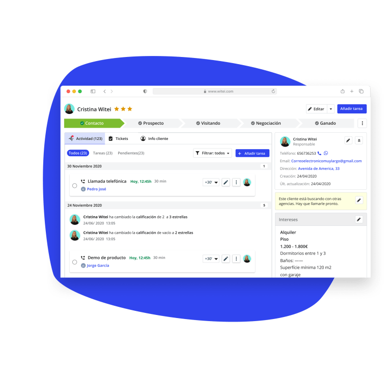 Witei sales client record